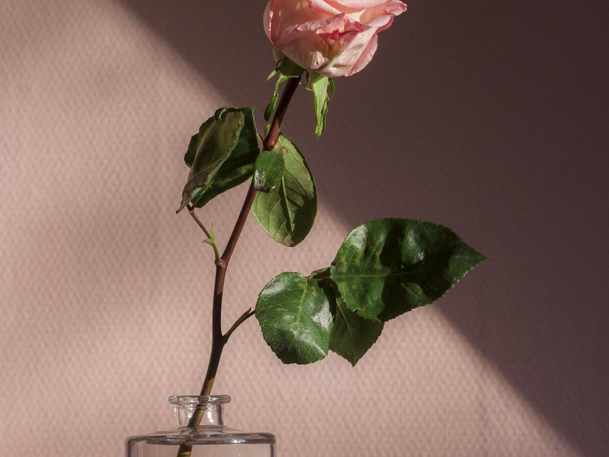 Floral attars